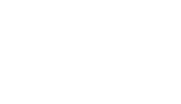 Original Relais Mira Peis wordmark and fish icon